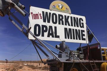 Tom's Working Opal Mine: Guided Tours