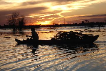 Mekong River Half-Day Small-Group Tour