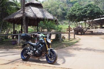 Samoeng Loop