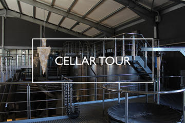 Cellar Tour