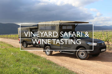 Vineyard Tour and Wine Tasting