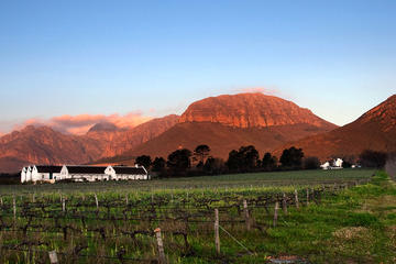 Eco-Wine Tour
