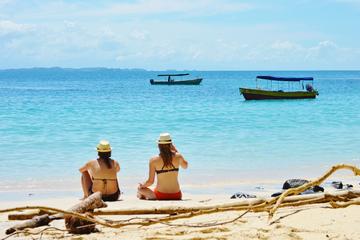 Island Tour and Snorkeling in the Gulf of Chiriqui National Marine Park