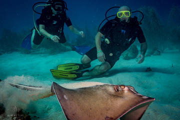 Afternoon & Night Dive in Bayahibe from Punta Cana -Small group in Caribbean Sea
