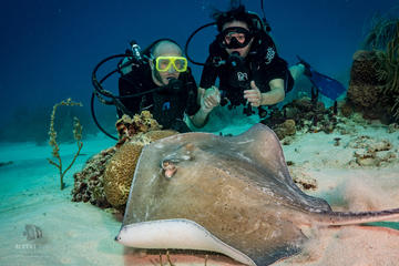 Bayahibe 2 Tank Dive from Punta Cana - Small group diving in the Caribbean Sea