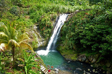 Half-Day Concord Waterfall and Chocolate Factory Tour