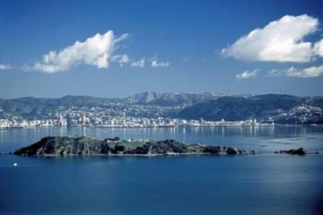 Matiu Somes Eco Trek