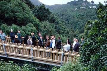 Otari Eco Trek - Half Day