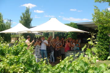 Swan Valley Winery Experience - Full Day Coach Tour