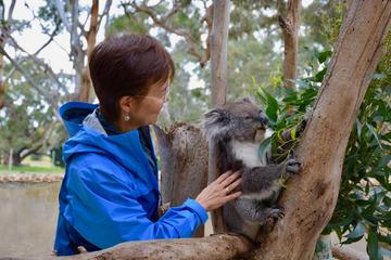 Full Day Tour of the Fleurieu Peninsula from Adelaide