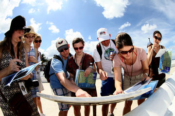 Amazing Cozumel Race: Small-Group Tour and Scavenger Hunt