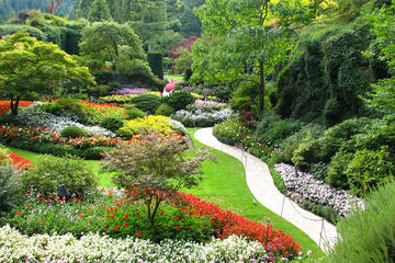 Tagesausflug von Vancouver nach Victoria und Butchart Gardens