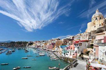 Ischia Private Day Tour From Sorrento
