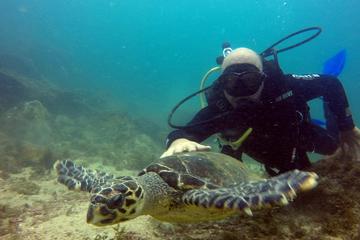 Scuba Diving Tour in Arraial do Cabo