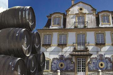 Arrabida and Sesimbra Small-Group Day Trip from Lisbon with Wine Tasting