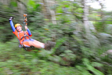 Full-Day Zipline and Waterfall Rappelling Adventure Near San Juan