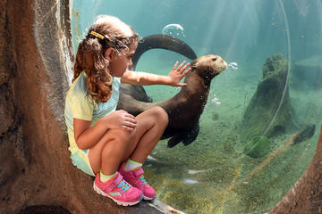 Zoo Miami General Admission with Monorail and Animal Feeding Upgrade