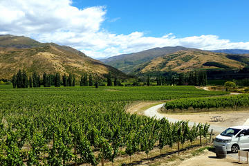 Full-Day Small-Group Guided Wine Tour in Central Otago
