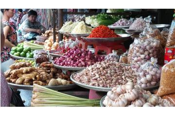 3-day tour in Ho Chi Minh and its Surround (3 days) (Private Tour)