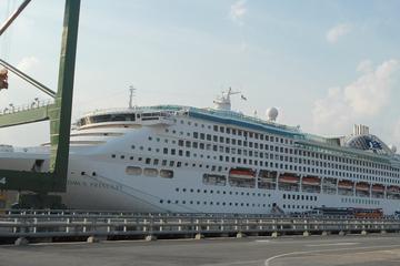 City tour for tourist from Cruiser (Pick up in Phu My)