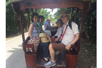 Classical Mekong delta (Private Tour)