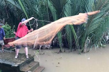 Explore the non touristy Mekong Delta with a local (small group tour Max 10people)