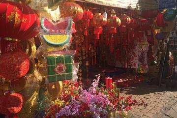 Walking tour in Chinatown (Private Tour)