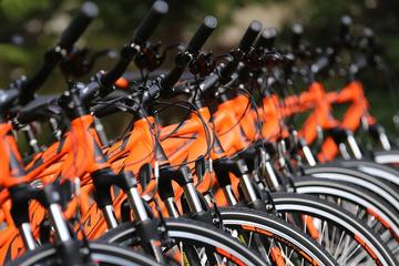 Rent a Bike for a day or 24 hours