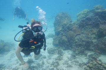 Try Scuba diving