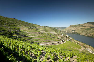 Douro Valley and Wine Day Trip from Porto with Cruise