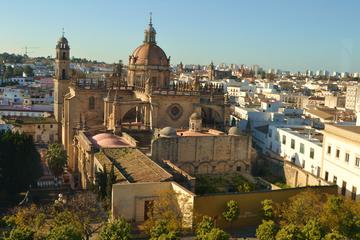 Cadiz Shore Excursion: Jerez Self Guided Tour