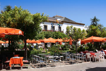 Malaga Shore Excursion: Malaga- Marbella and Puerto Banus Private Tour