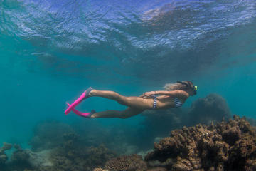 Exclusive Ningaloo Adventure Charter from Exmouth