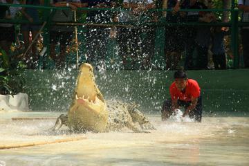 Langkawi Crocodile Adventureland Admission Ticket