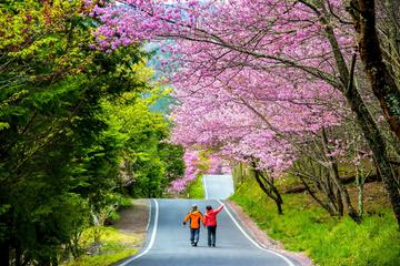 TaiwanDay - Wulin & Fushoushan Farm 2-Day Group Tour