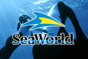Miami to Orlando SeaWorld Theme Park Round-Trip