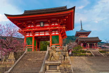 Private Scholar-led Kyoto Walking Tour: Shintoism and Buddhism in Japan