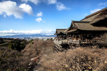 Scholar-led Kyoto Walking Tour: Shintoism and Buddhism in Japan