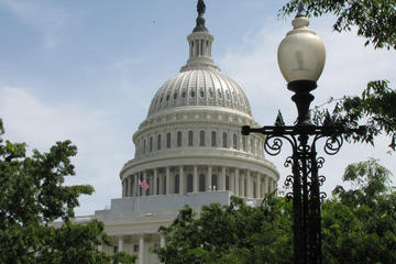 Washington D.C. Private Tour with a Political Insider