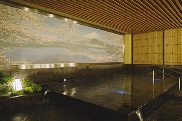 Thermae-Yu Hotspring in Shinjuku