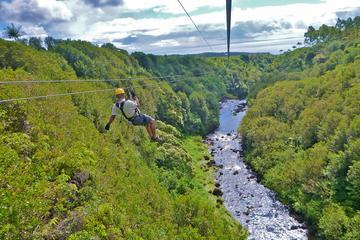 Zipline Through Paradise: Side By Side Dual Track Zipline Course