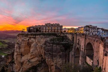 Small group day tour to Ronda including wine tasting and a visit to a bull farm