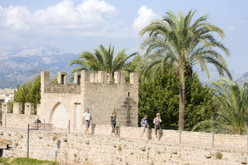 Discover Alcudia old town on a private walking tour