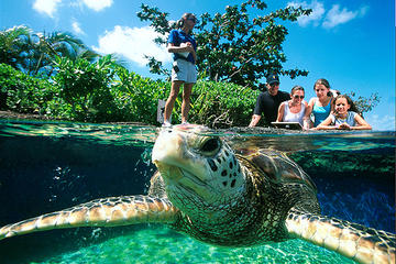Entrée à l’aquarium de Palma avec transferts