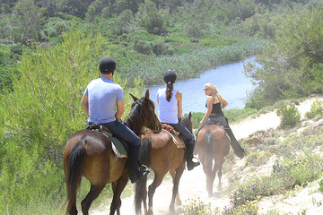 Visite de Majorque en soirée : promenade à cheval, dîner et danse