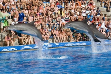 Évitez les files d'attente : visite du Marineland de Majorque
