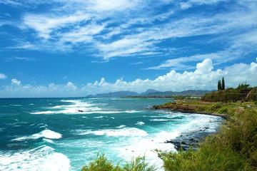 Private Tour: Kauai Sightseeing Adventure with Picnic Lunch