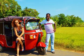Private Tour: Udaipur Sightseeing by Tuk-Tuk With Tour Guide