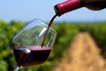 Lisbon Wine Tasting Tour