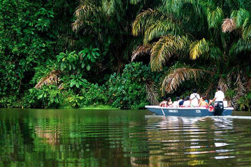 Tortuguero Eco-Aventura